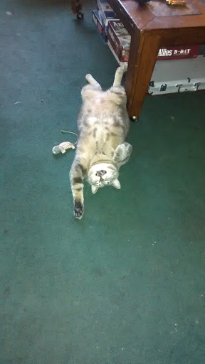 Bowling Alley «Brunswick Zone Westminster Lanes», reviews and photos, 9150 N Harlan St, Westminster, CO 80031, USA