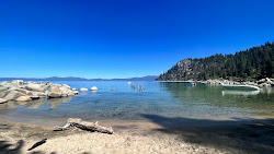 Skunk Harbor Beach'in fotoğrafı ve yerleşim