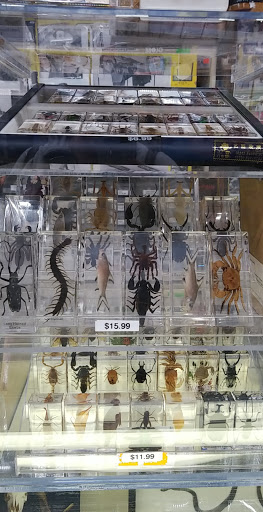 Toy Store «Brookside Toy and Science», reviews and photos, 330 W 63rd St, Kansas City, MO 64113, USA