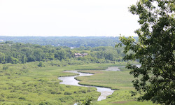 Pheasant Branch Conservancy