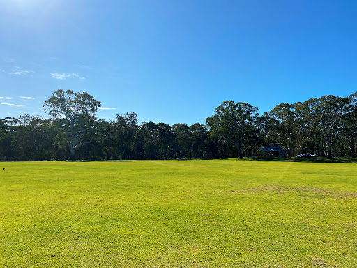 Gums Oval