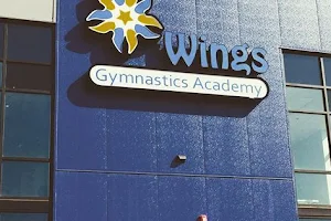 Wings Gymnastics Academy image