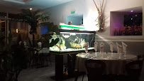Atmosphère du Restaurant vietnamien Phi Long à Lourdes - n°4