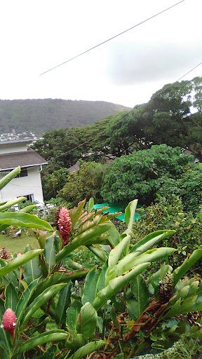 Mānoa Valley