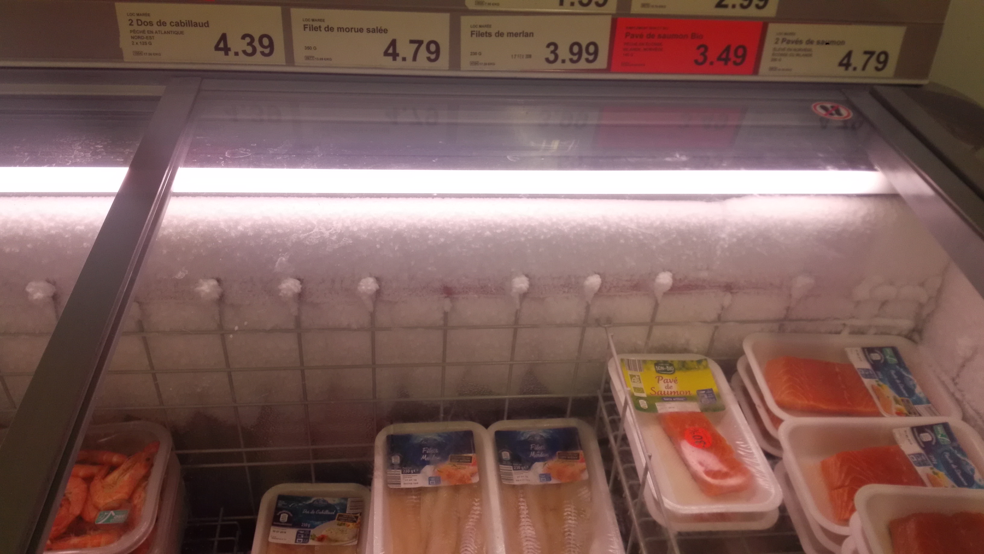 Photo n° 5 de l'avis de Caille. fait le 25/02/2017 à 12:54