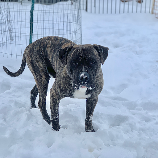 Computer Service «Perfection Tool & PC Repair Inc», reviews and photos, 16399 S Golden Rd b, Golden, CO 80401, USA