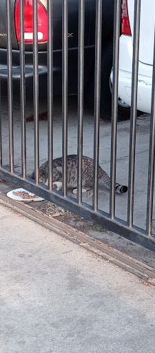 Self-Storage Facility «Low Cost Storage Stanton», reviews and photos, 10850 Beach Blvd, Stanton, CA 90680, USA