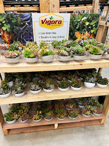 Home Improvement Store «The Home Depot», reviews and photos, 8901 Page Ave, Overland, MO 63114, USA