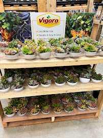 The Home Depot - Photo 9 - Car repair in Overland, MO, St. Louis