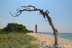 Photo de Foul Point avec rivage droit, long