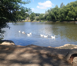 Zoo Lake photo