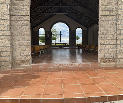 Jardines de San Juan