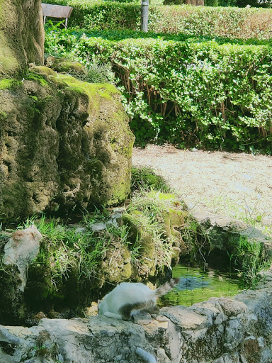 Ayuntamiento de Masegoso