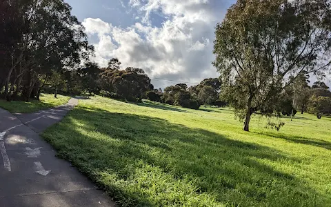 Musca Street Reserve image