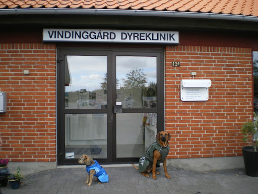 Vindinggaard Dyreklinik in Vejle, Vejle