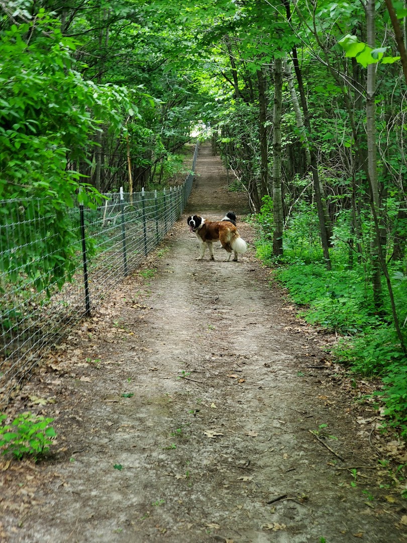 Elm Creek Park Reserve - Dog Off-leash Area