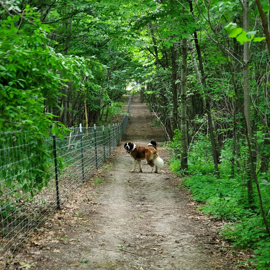 Elm Creek Park Reserve - Dog Off-leash Area