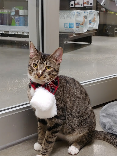 Pet Supply Store «Petco Animal Supplies», reviews and photos, 1298 W Granada Blvd #100, Ormond Beach, FL 32174, USA