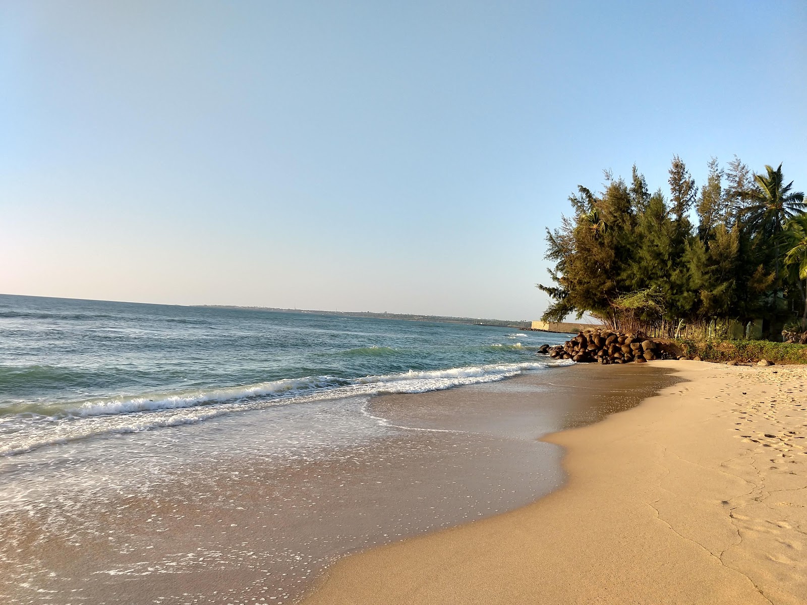 Calm Beach'in fotoğrafı vahşi alan
