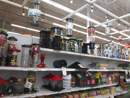 Hardware Store «Ace Barnes Hardware Inc», reviews and photos, 2105 W Stadium Blvd, Ann Arbor, MI 48103, USA