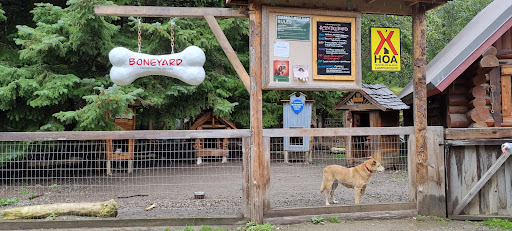 Sled Dog Adventure & Musher's Camp - Skagway, AK
