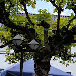 Photo n°4 de l'avis de Rüdiger.o fait le 23/08/2023 à 14:13 sur le  Café-Restaurant Haus Rüden - Solingen à Solingen