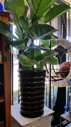 Florist «Cerritos Hills Florist», reviews and photos, 11827 South St, Cerritos, CA 90703, USA