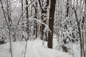 Panerių Erozinio Kalvyno Kraštovaizdžio Draustinis image