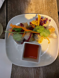 Rouleau de printemps du Restaurant végétalien kapunka vegan - cantine thaï sans gluten à Paris - n°5