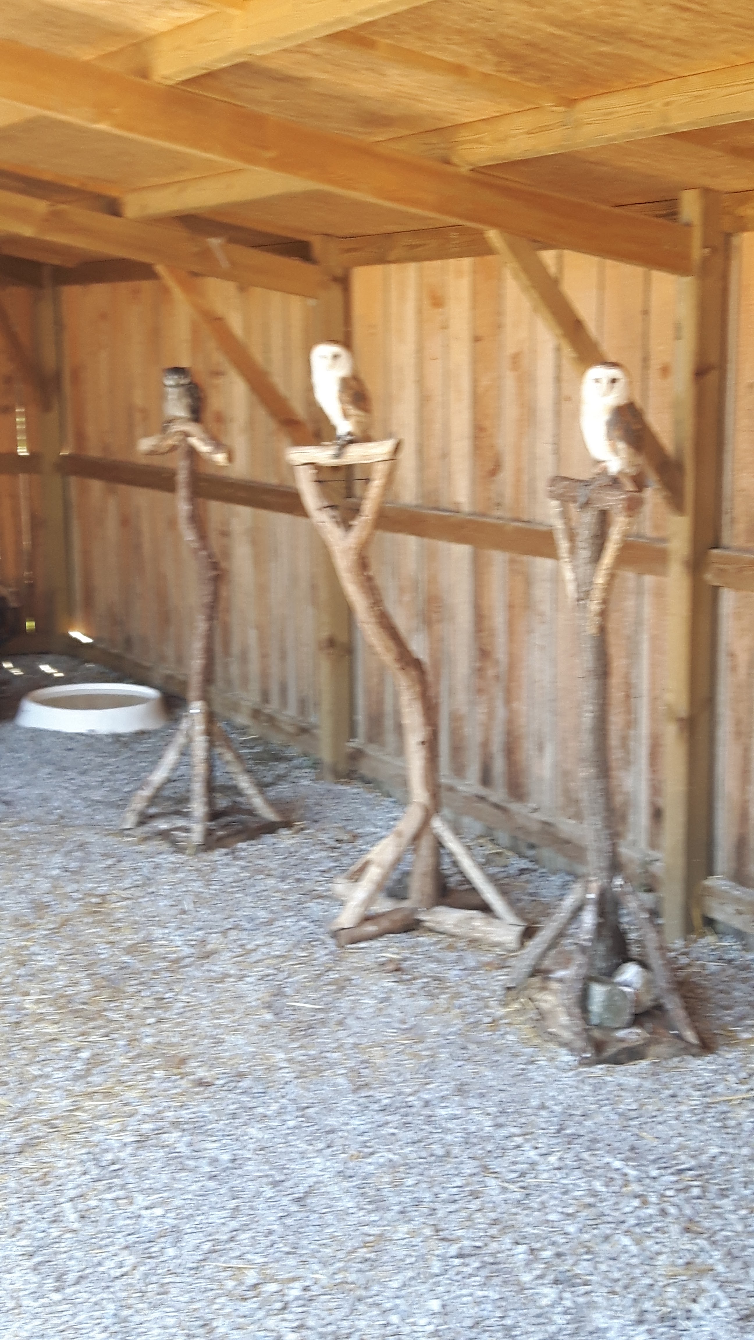 Photo n° 4 de l'avis de jonathan.r fait le 08/07/2019 à 15:41