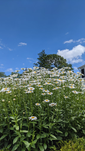 Museum «Linden Place», reviews and photos, 500 Hope St, Bristol, RI 02809, USA