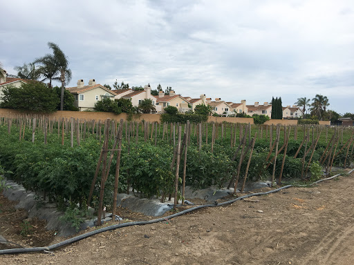 Organic farm Anaheim