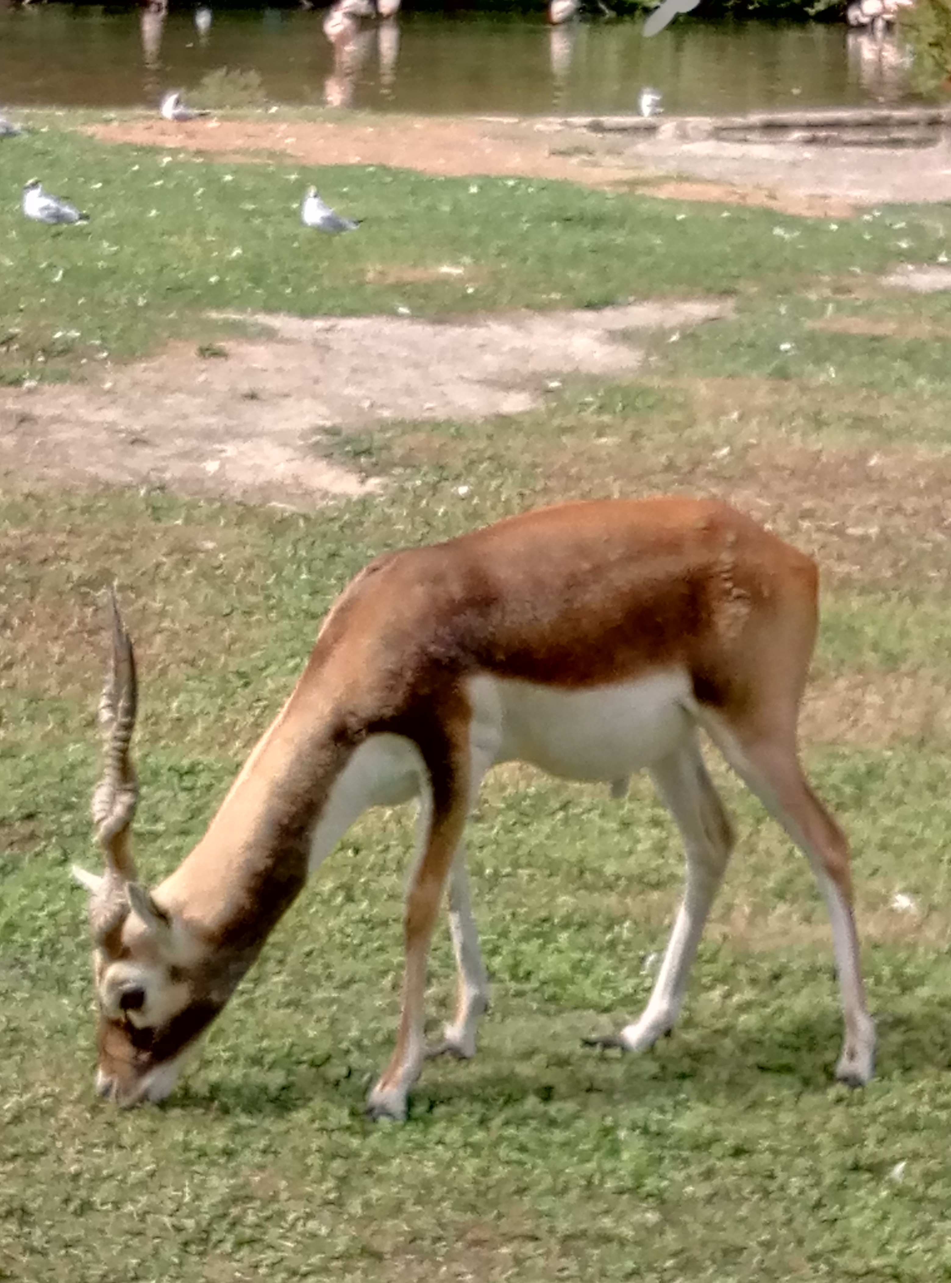 Photo n° 1 de l'avis de Patricia.e fait le 19/07/2019 à 21:12