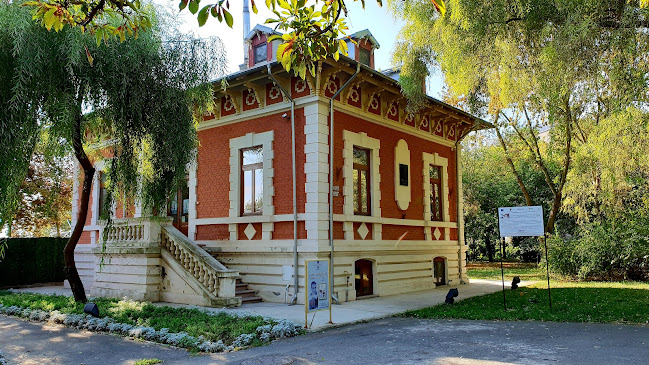 Casa Memorială "Panait Istrati"
