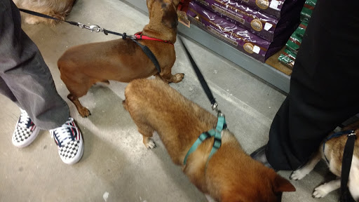 Pet Supply Store «Western Ranch & Pet Supply», reviews and photos, 103 Aegean Way, Vacaville, CA 95687, USA