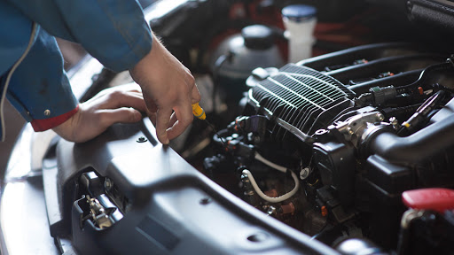 5821 Roosevelt Way NE, Seattle, WA 98105, USA