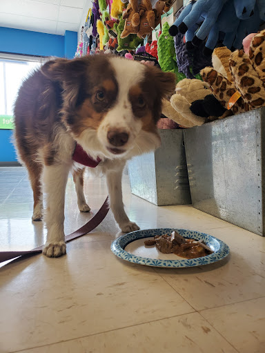 Pet Supply Store «Natural Pet Center», reviews and photos, 3037 13th Ave S, Fargo, ND 58103, USA