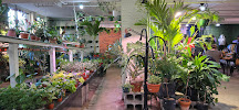 Terrarium - Photo 8 - Car repair in Portland, ME, Portland