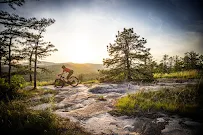 Amplified Media Inc. - Car repair in Asheville, NC, Asheville - Rated 4.9/5