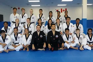 World Martial Arts: Gracie Barra Brazilian Jiu Jitsu (BJJ) & Taekwondo image