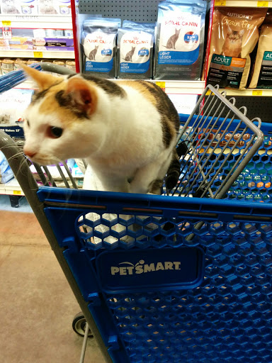 Pet Supply Store «PetSmart», reviews and photos, 8460 Tamarack Village, Woodbury, MN 55125, USA
