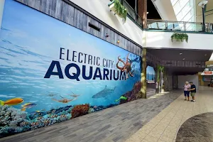 Electric City Aquarium & Reptile Den image