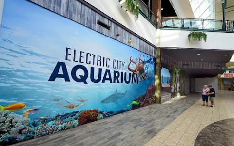 Electric City Aquarium & Reptile Den image