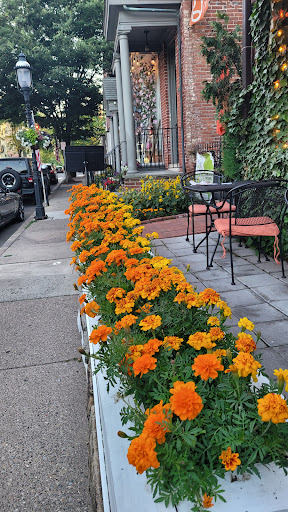 Book Store «Doylestown Bookshop», reviews and photos, 16 S Main St, Doylestown, PA 18901, USA