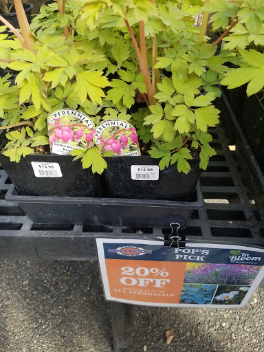 Hardware Store «McLendon Hardware», reviews and photos, 1111 Fryar Ave, Sumner, WA 98390, USA