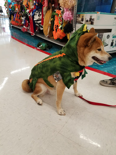 Pet Supply Store «Petco Animal Supplies», reviews and photos, 1209 New Brunswick Ave, Phillipsburg, NJ 08865, USA