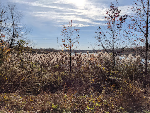 Dog Park «Dog Park», reviews and photos, 9068-9156 Wheatsheaf Rd, Morrisville, PA 19067, USA