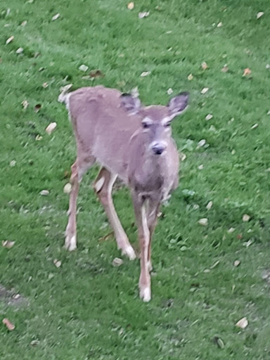 Park «Mills Reservation County Park», reviews and photos, Highland Ave, Cedar Grove, NJ 07009, USA