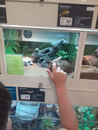 Pet Supply Store «PetSmart», reviews and photos, 931 I-30 Frontage Rd, Rockwall, TX 75032, USA