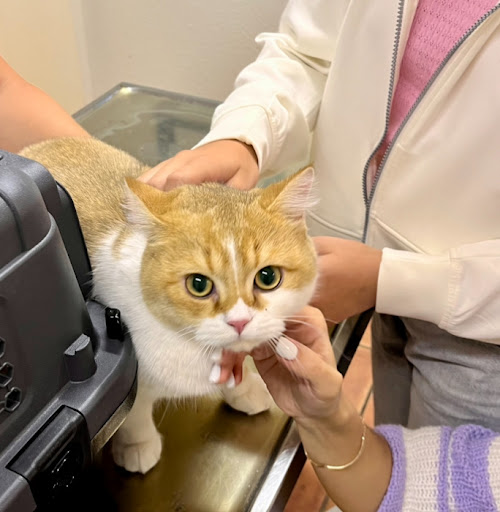 Dr. med. vet. Franziska Rust unter Hamburg, 
